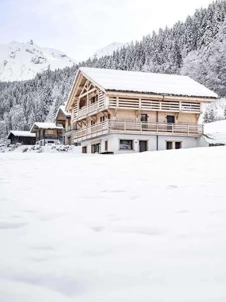 Le chalet ZenSpace devant la montagne et sa forêt enneigée