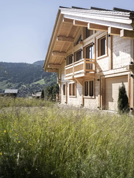 Le chalet ZenSpace et la montagne au printemps